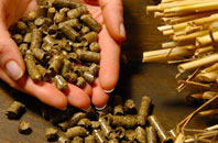 free Stocking Green biomass boiler quotes